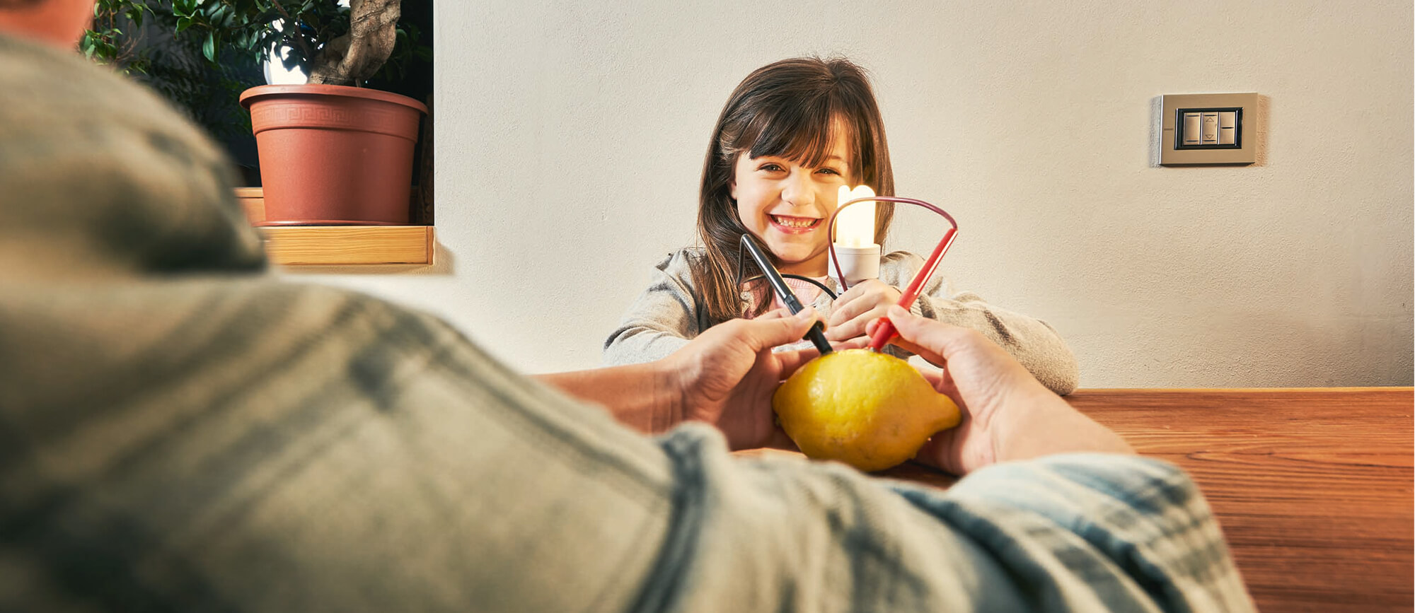 Esperimento Elettricità dal limone